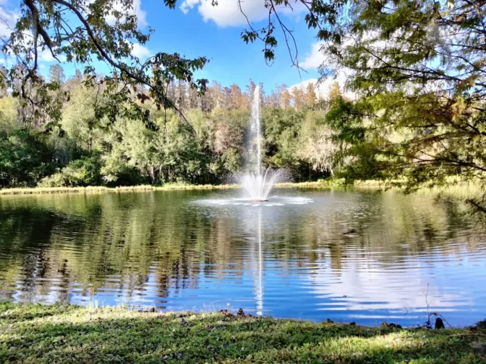amberly park tampa